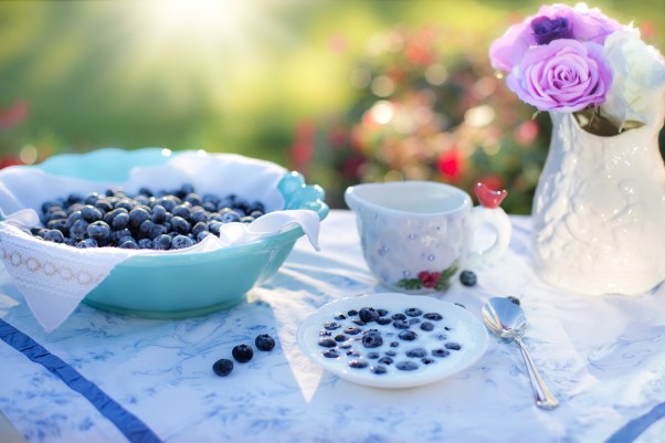 blueberries-1576405_1920.jpg
